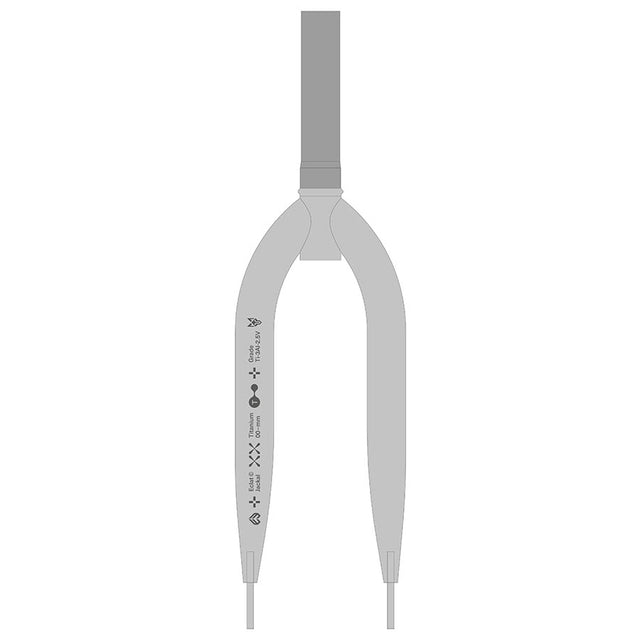 Eclat Jackal Ten Rigid Fork 20'' 1-1/8'' Rake: 10mm Clear