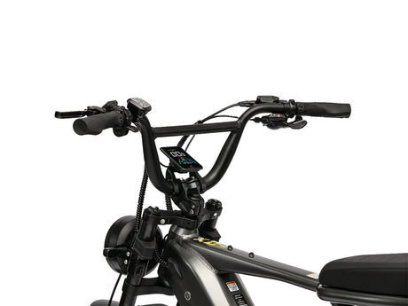 Lynx T-Scram Dual-Suspension Fat Tire Electric Bike 960Wh Battery Two-Rider